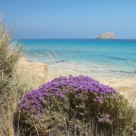 Agia Fotia بيت ضيافة Agia Fotia (Ierapetra)